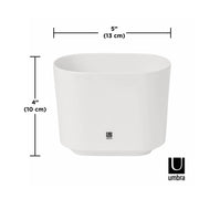 Step Toothbrush Holder - image 7