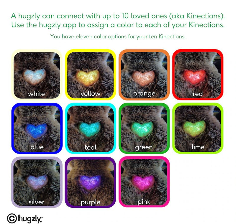 Hugzly - Kodi The Grizzly Bear Wifi Connect Smart Plush Toys & Games
