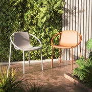 Ringo Chair - image 4