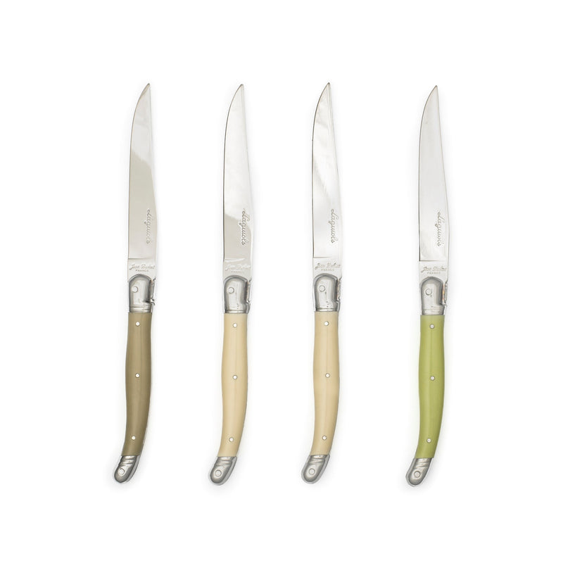Jean Dubost - Laguiole Smooth Knife Set ABS Handle 4pc Home & Kitchen Lichen Mix