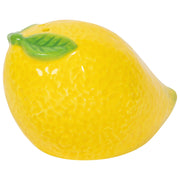 Jubilee - Citrus Burst Salt and Pepper Shakers Home & Kitchen