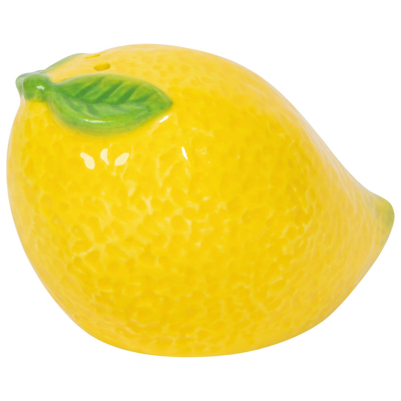Jubilee - Citrus Burst Salt and Pepper Shakers Home & Kitchen