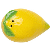 Jubilee - Citrus Burst Salt and Pepper Shakers Home & Kitchen