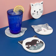 Jubilee - Set/4 Coaster Soak Up CatsMeow | Gray Home & Kitchen