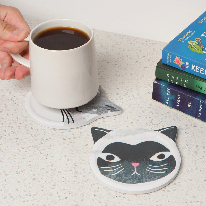 Jubilee - Set/4 Coaster Soak Up CatsMeow | Gray Home & Kitchen