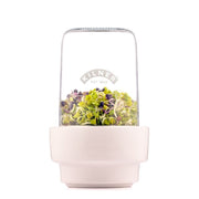 Kilner - Seed Sprouting Set Home & Kitchen