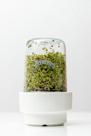 Kilner - Seed Sprouting Set Home & Kitchen