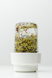 Kilner - Seed Sprouting Set Home & Kitchen