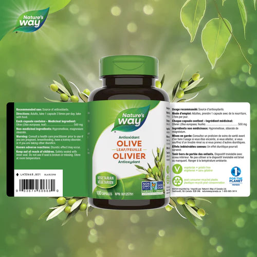 Nature's Way - Olive Leaf