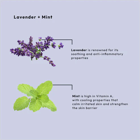 BCL Spa - Massage Cream Lavender + Mint | 64 oz