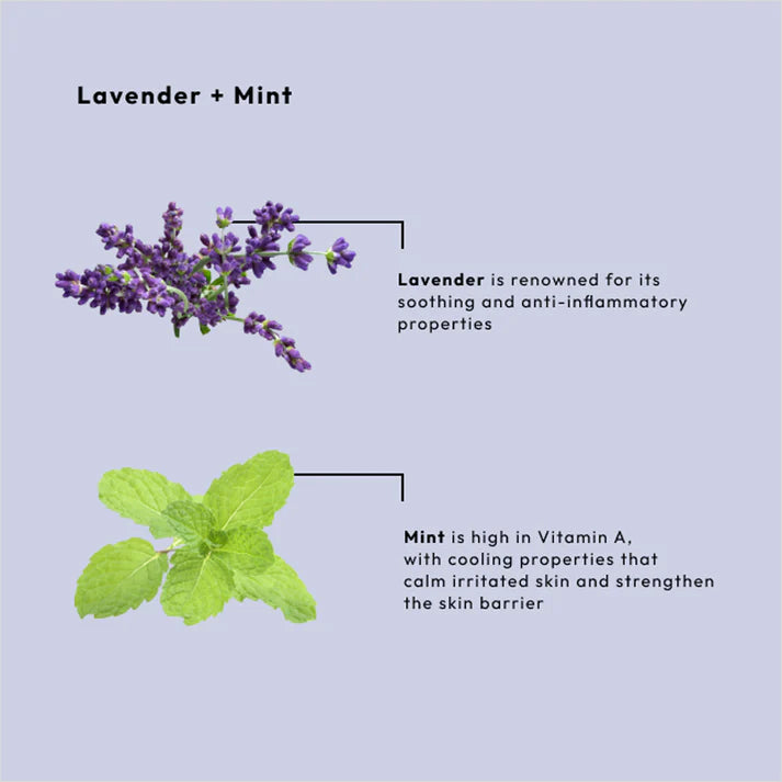 BCL Spa - Sugar Scrub Lavender + Mint