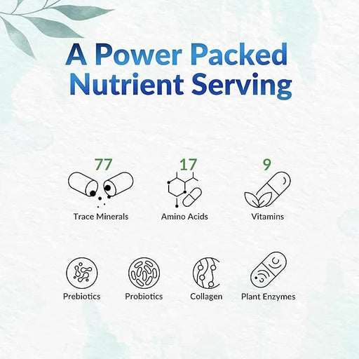 LeafSource - Shilajit 60Vcaps. Health & Wellness