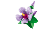 LEGO - 10372 Hibiscus (purple) CS PK 3 Toys & Games