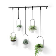 Triflora Hanging Planters, Set of 5 - image 6