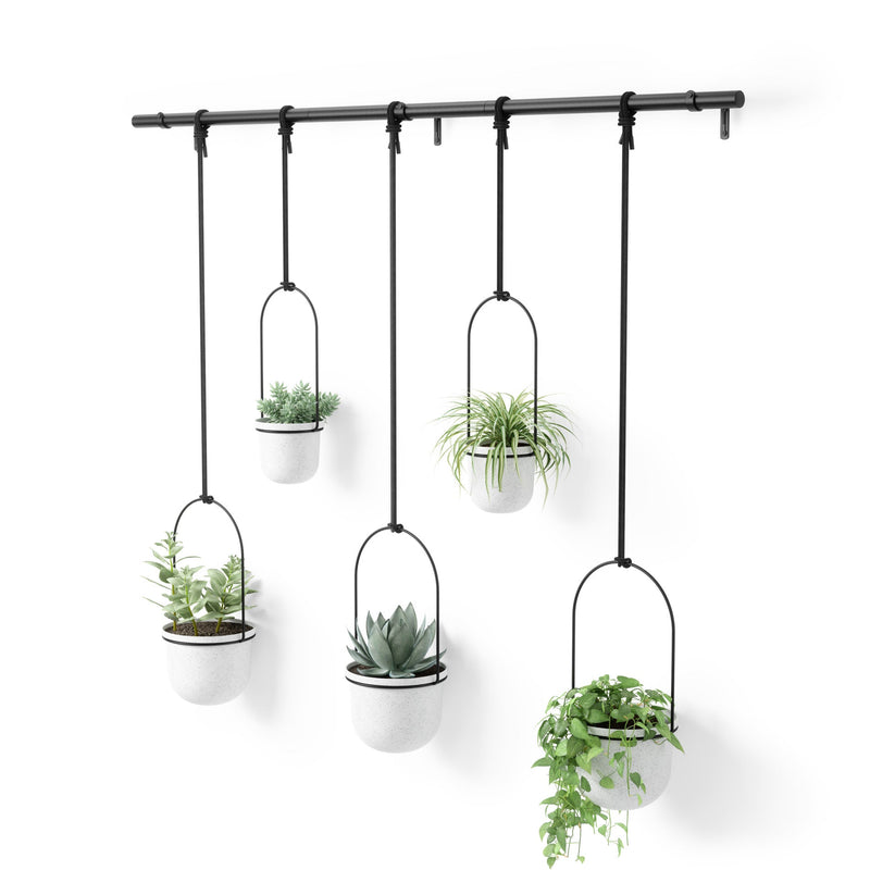 Triflora Hanging Planters, Set of 5 - image 6