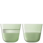 LSA - Arc Contrast Tumbler (Set of 2) | 260 mL Home & Kitchen Moss