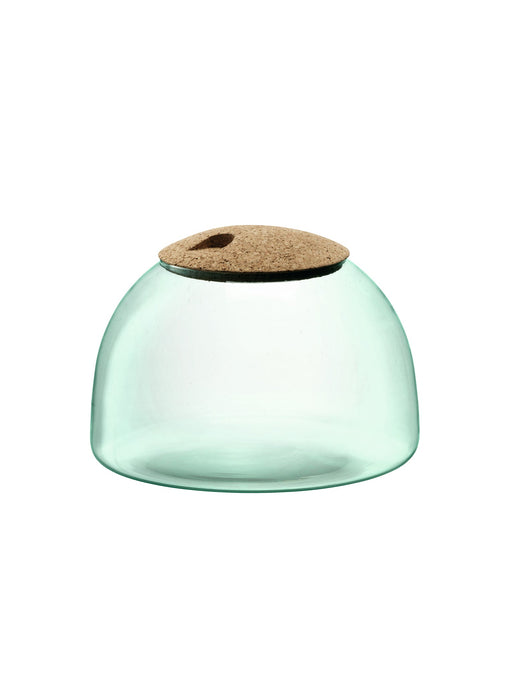 LSA - Canopy Closed Garden H16.5cm Clear/Cork Home & Kitchen