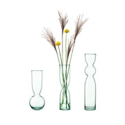 LSA - Canopy Trio Vase Set H25cm/H30cm/H35cm Recycled Home & Kitchen