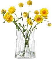 LSA - Gio Line Lantern/Vase H29cm Clear Home & Kitchen