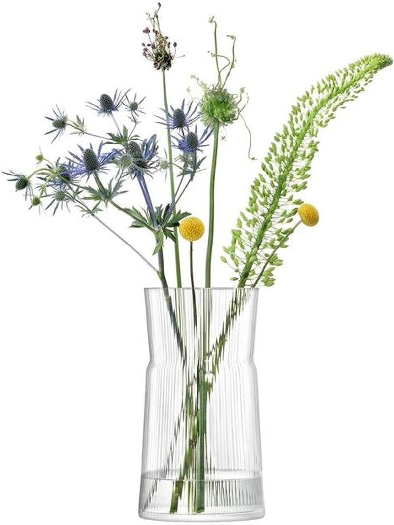 LSA - Gio Line Lantern/Vase H29cm Clear Home & Kitchen