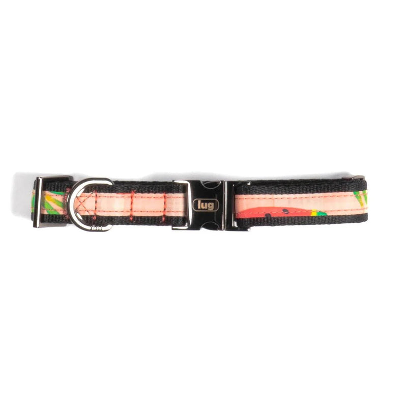 LUG - Fetch Pet Collar and Leash Set