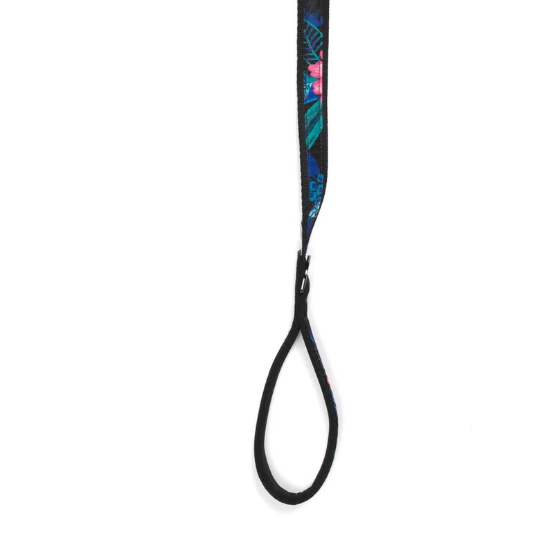 LUG - Fetch Pet Collar and Leash Set