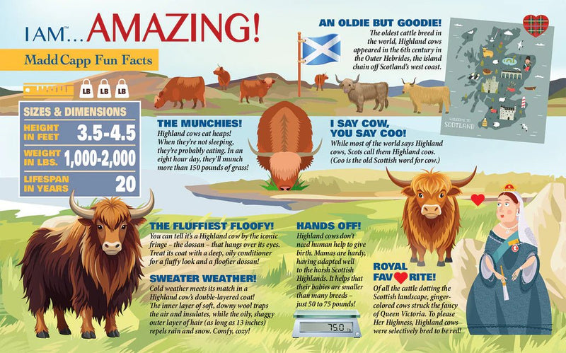 Madd Capp Puzzles - I AM Highland Cow (550 PC) Toys & Games