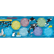 Madd Capp Puzzles - I AM Lil Orca (48 PC) Games & Toys