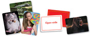 MindWare Picwits! — contents and product details