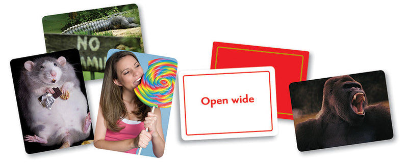 MindWare Picwits! — contents and product details