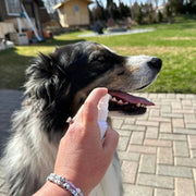 Mintier - Mintier - Dog Breath Spray 60ml Animals & Pet Supplies