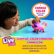Moose Toys - LITTLE LIVE PETS - S2 - LIL' CHAMELEON Toys & Games