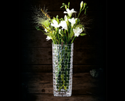 Nachtmann - Bossa Nova - Vase 80727 - in use