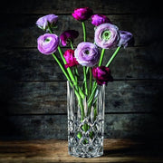 Nachtmann - NOBLESSE VASE/HURRICANE LAMP 23CM Home & Kitchen