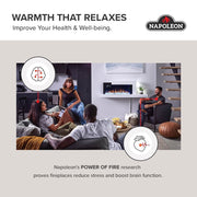Napoleon - ASTOUND 62 FLEXMOUNT ELECTRIC FIREPLACE NEFL62AB Home & Kitchen