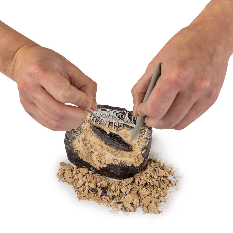 National Geographic - Dino Dig Kit Toys & Games