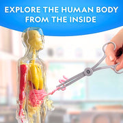 National Geographic - Glow - in - the - Dark Human Body Toys & Games