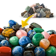 National Geographic - Hobby Tumbler Toys & Games