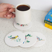 Now Designs - Coaster Soak Up Birdsong Home & Kitchen