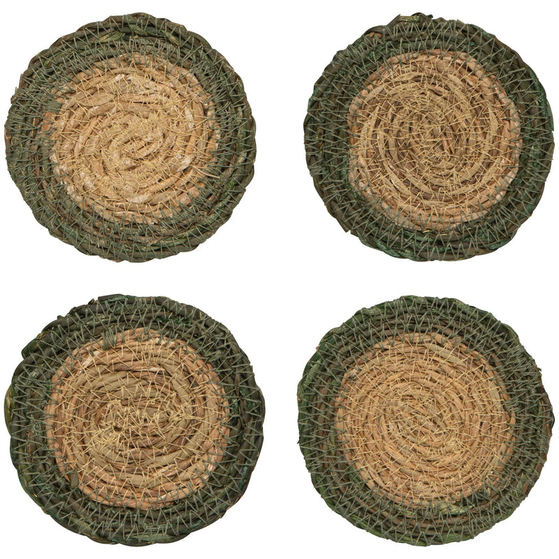 Now Designs Coasters, Set of 4 Home & Kitchen Green Border