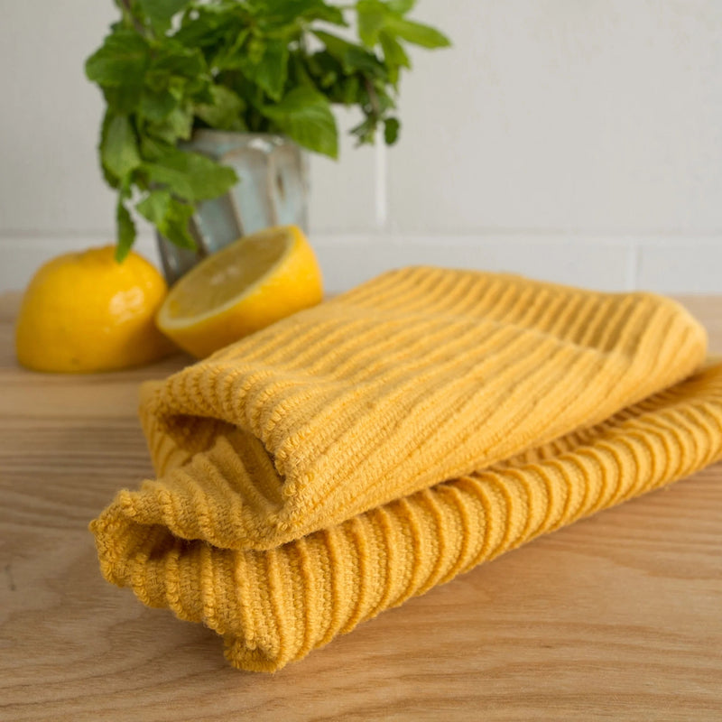 Now Designs - Dishcloths Set of 2 Home & Kitchen Honey Ripple