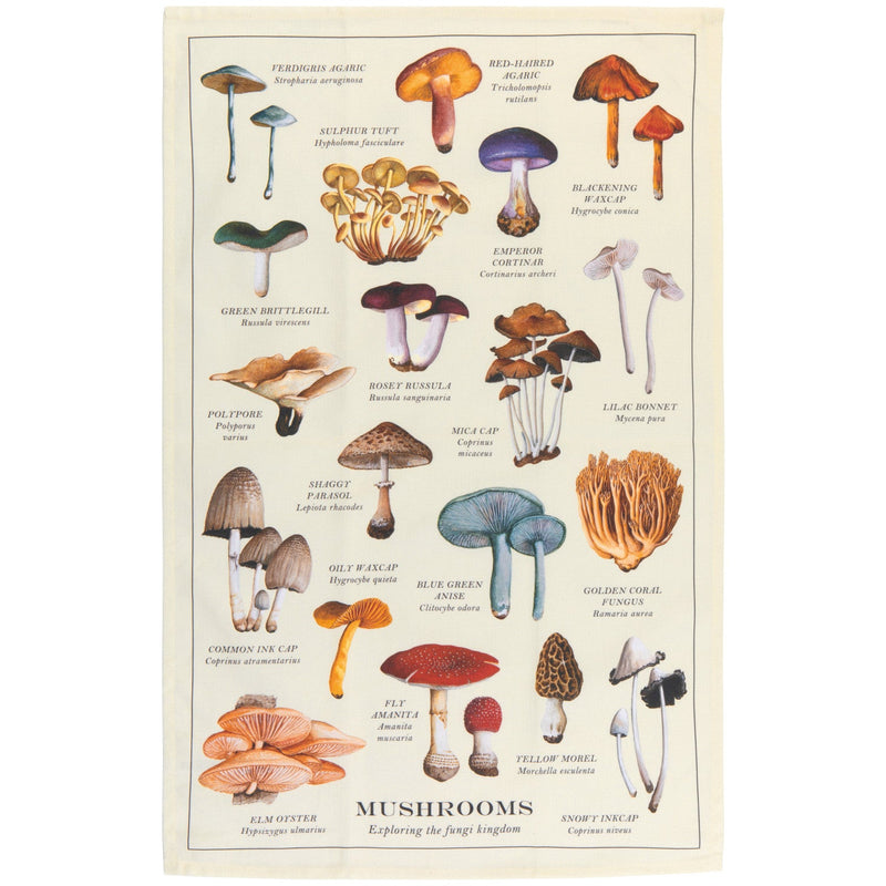 Now Designs - Kitchen Towel Fine Prnt Mushrooms Home & Kitchen