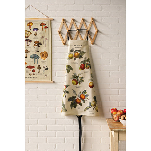 Now Designs - Kitchen Towel Fine Prnt Mushrooms Home & Kitchen