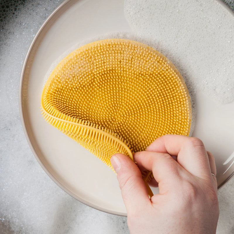 Now Designs - Scrub Bub Sunrise Home & Kitchen
