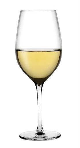 NUDE GLASS - TERROIR Polyvalent 14.5oz/428ml