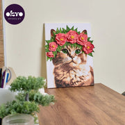 OKTO - OKTO & IDEYKA - BEAUTIFUL KITTY Games & Toys