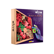 OKTO - WOOD & CRAFT - SUCCULENTS - PASSION Games & Toys