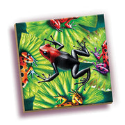 Outset Media - Magic Square Puzzle: Frogs (25pc) Toys & Games