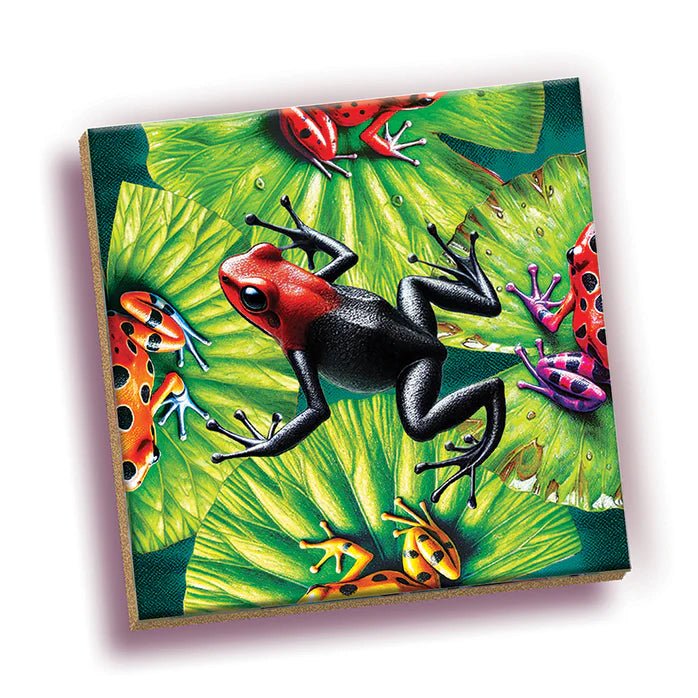 Outset Media - Magic Square Puzzle: Frogs (25pc) Toys & Games