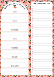 PBI - PLANNING NOTEPAD - ORANGES Games & Toys